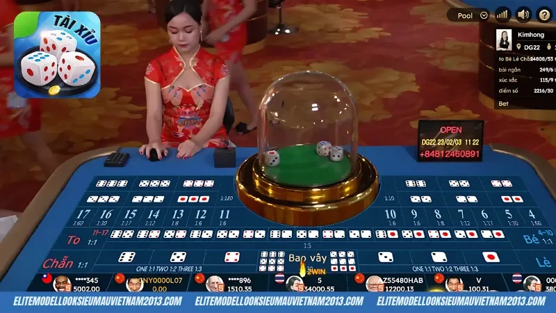 Cách chơi tài xỉu live Nhatvip dễ hiểu nhất