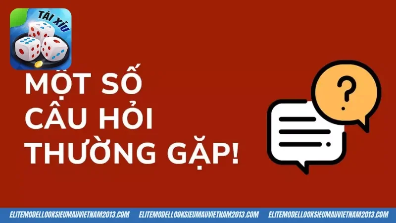 Câu hỏi thường gặp về giao dịch tài chính