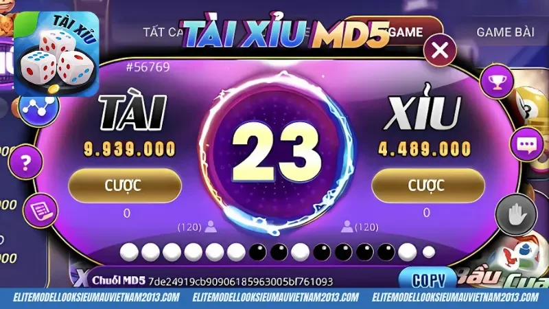 Khái quát thông tin cơ bản về Tài Xỉu MD5 XO88