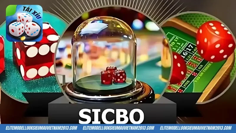 Một số thuật ngữ cơ bản trong Sicbo