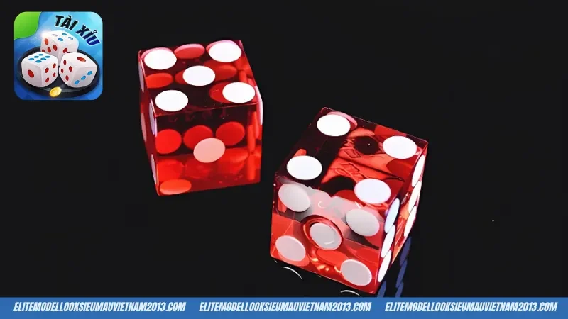 Nhiệm vụ chính của bet thủ khi chơi tài xỉu Md5 WIN79