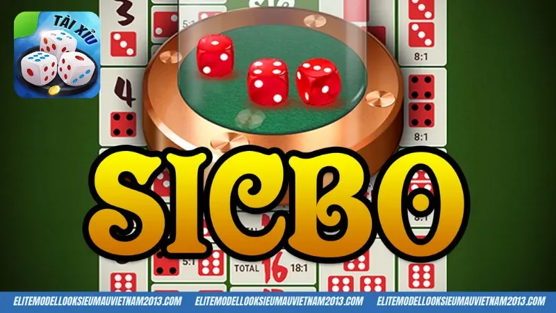 Sơ lược những thông tin cần biết về Sicbo