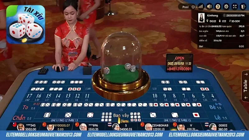 Toàn bộ thông tin cơ bản về Tài Xỉu live Xo88